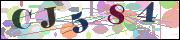 Spam bot protection (CAPTCHA)